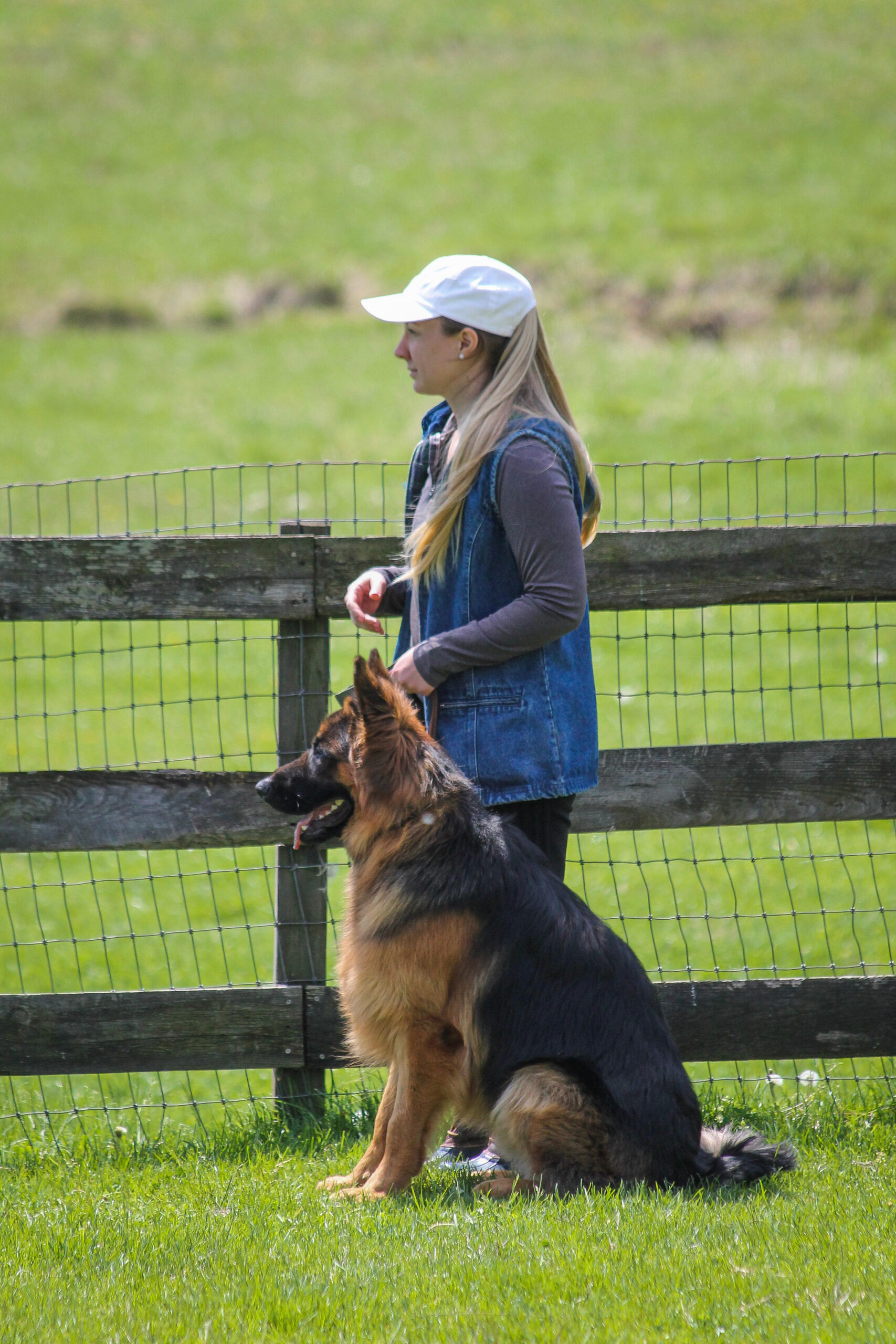 Dog and handler training outdoors with Philadelphia Dog Training Club